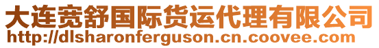 大連寬舒國際貨運(yùn)代理有限公司