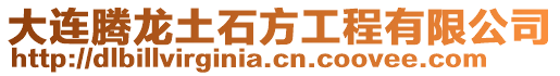 大連騰龍土石方工程有限公司