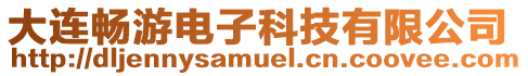 大連暢游電子科技有限公司