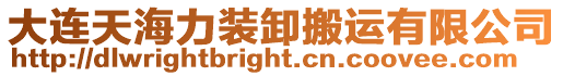 大連天海力裝卸搬運有限公司
