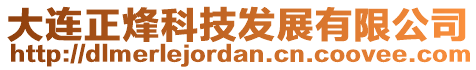 大連正烽科技發(fā)展有限公司