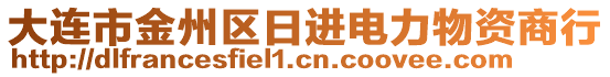 大連市金州區(qū)日進(jìn)電力物資商行