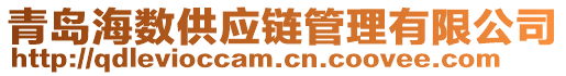青島海數(shù)供應(yīng)鏈管理有限公司
