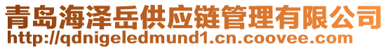 青島海澤岳供應(yīng)鏈管理有限公司