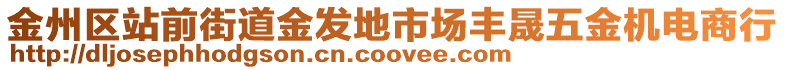 金州區(qū)站前街道金發(fā)地市場豐晟五金機電商行