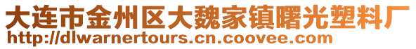 大連市金州區(qū)大魏家鎮(zhèn)曙光塑料廠