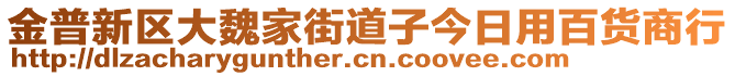 金普新區(qū)大魏家街道子今日用百貨商行