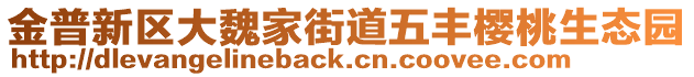 金普新區(qū)大魏家街道五豐櫻桃生態(tài)園