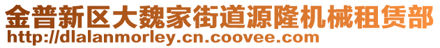 金普新區(qū)大魏家街道源隆機械租賃部