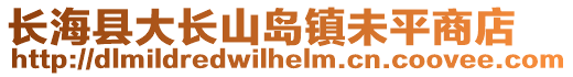 長?？h大長山島鎮(zhèn)未平商店