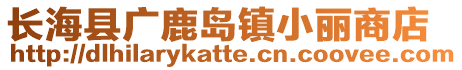 長?？h廣鹿島鎮(zhèn)小麗商店