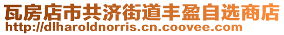 瓦房店市共濟(jì)街道豐盈自選商店