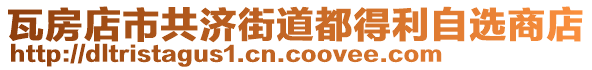 瓦房店市共濟(jì)街道都得利自選商店
