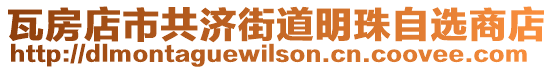 瓦房店市共濟(jì)街道明珠自選商店