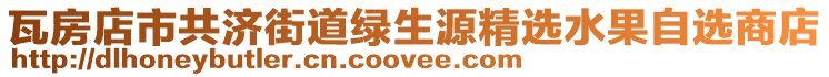 瓦房店市共濟(jì)街道綠生源精選水果自選商店