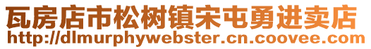 瓦房店市松樹鎮(zhèn)宋屯勇進(jìn)賣店