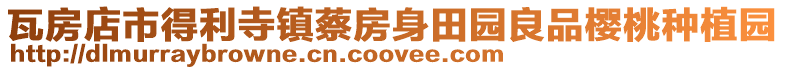 瓦房店市得利寺鎮(zhèn)蔡房身田園良品櫻桃種植園