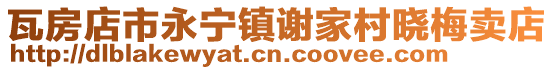 瓦房店市永寧鎮謝家村曉梅賣店