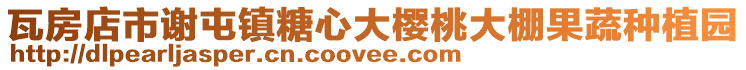 瓦房店市謝屯鎮糖心大櫻桃大棚果蔬種植園