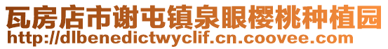 瓦房店市謝屯鎮泉眼櫻桃種植園