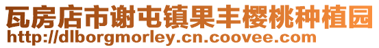 瓦房店市謝屯鎮(zhèn)果豐櫻桃種植園