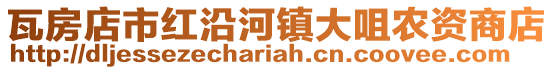 瓦房店市紅沿河鎮大咀農資商店