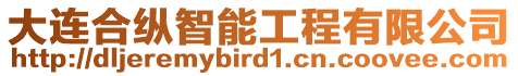 大連合縱智能工程有限公司