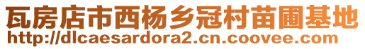 瓦房店市西楊鄉冠村苗圃基地
