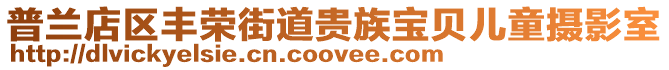 普蘭店區(qū)豐榮街道貴族寶貝兒童攝影室
