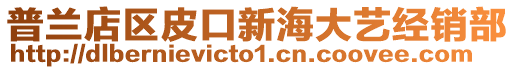 普蘭店區(qū)皮口新海大藝經(jīng)銷(xiāo)部