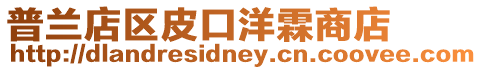 普蘭店區皮口洋霖商店
