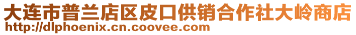 大連市普蘭店區(qū)皮口供銷合作社大嶺商店