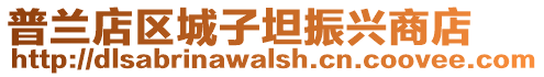 普蘭店區(qū)城子坦振興商店
