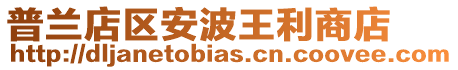 普蘭店區(qū)安波王利商店