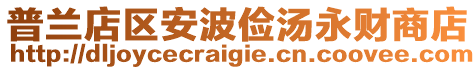普蘭店區(qū)安波儉湯永財商店