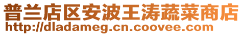 普蘭店區安波王濤蔬菜商店
