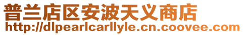 普蘭店區安波天義商店