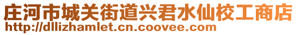 莊河市城關(guān)街道興君水仙校工商店