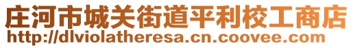 莊河市城關(guān)街道平利校工商店