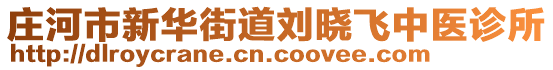 莊河市新華街道劉曉飛中醫(yī)診所