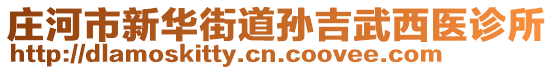 莊河市新華街道孫吉武西醫(yī)診所