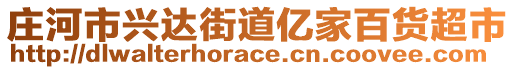 莊河市興達(dá)街道億家百貨超市