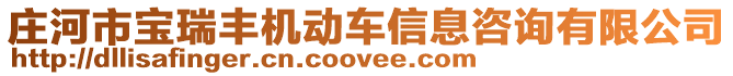 莊河市寶瑞豐機動車信息咨詢有限公司