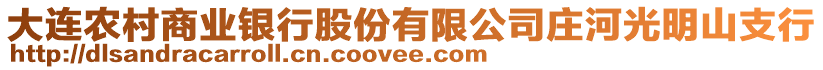 大連農(nóng)村商業(yè)銀行股份有限公司莊河光明山支行