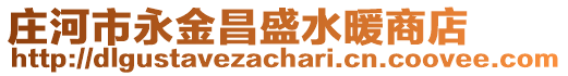 莊河市永金昌盛水暖商店
