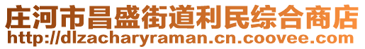 莊河市昌盛街道利民綜合商店