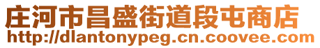 莊河市昌盛街道段屯商店