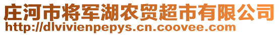 莊河市將軍湖農貿超市有限公司