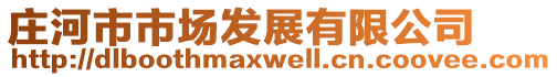 莊河市市場發展有限公司