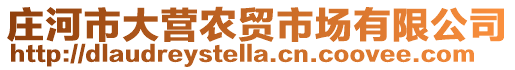 莊河市大營農(nóng)貿(mào)市場有限公司